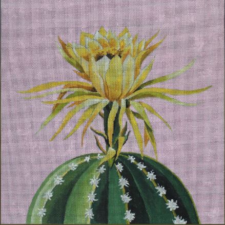 click here to view larger image of Blooming Cactus on Pink (hand painted canvases)