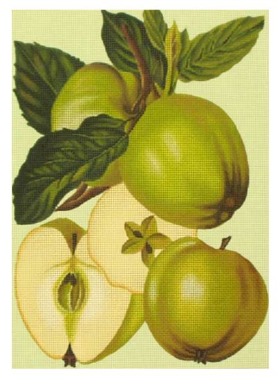 click here to view larger image of Green Apples (hand painted canvases)
