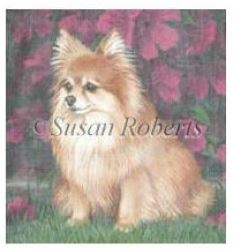 click here to view larger image of Pomeranian (hand painted canvases)