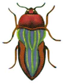 click here to view larger image of Red/Green Beetle (hand painted canvases)