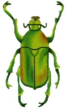 click here to view larger image of Green/Yellow Beetle (hand painted canvases)