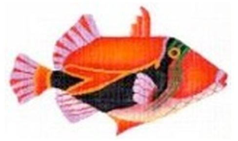 click here to view larger image of Triggerfish (hand painted canvases)