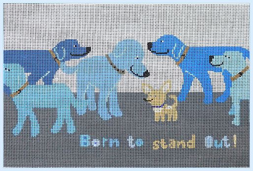 click here to view larger image of Born to Stand Out - Chihuahua (hand painted canvases)