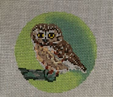 click here to view larger image of Rocky - Saw Whet Owl (hand painted canvases)