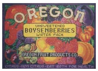 click here to view larger image of Oregon Boysenberries (hand painted canvases)