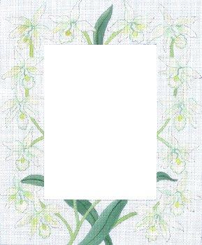 click here to view larger image of White Orchids Frame (hand painted canvases)