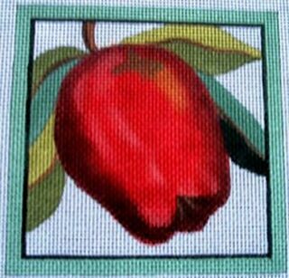 click here to view larger image of Coaster - Apple (hand painted canvases)