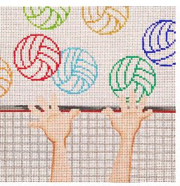 click here to view larger image of Volley Ball Square (hand painted canvases)