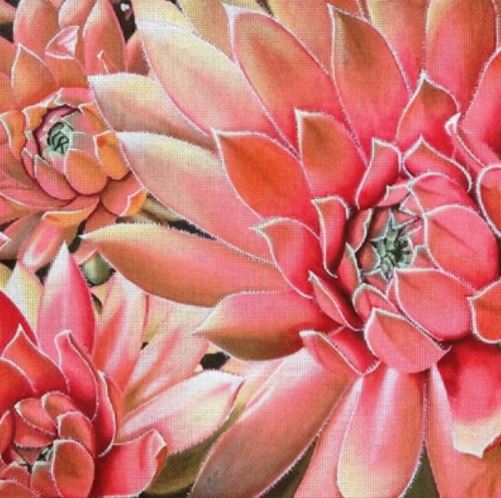 click here to view larger image of Pink Succulent (hand painted canvases)