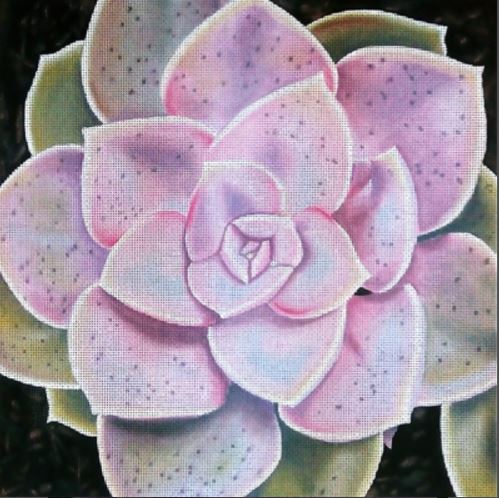 click here to view larger image of Pastel Succulent (hand painted canvases)