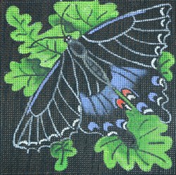 click here to view larger image of Black and Blue Butterfly (hand painted canvases)