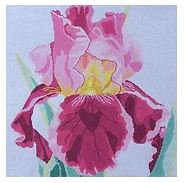 click here to view larger image of Wine Rose Iris (hand painted canvases)