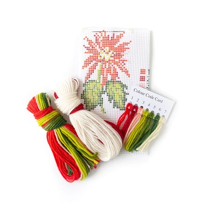 click here to view larger image of Poinsettia Starter Kit (needlepoint kits)