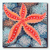 click here to view larger image of Box Top Starfish (hand painted canvases)