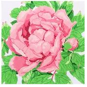 click here to view larger image of Pink Peony Blossom (hand painted canvases)