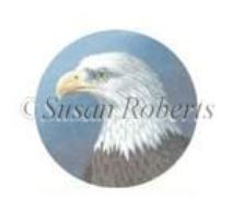 click here to view larger image of Eagle (hand painted canvases)