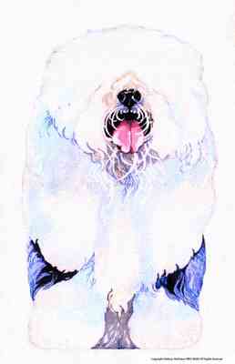 click here to view larger image of Old English Sheep Dog (hand painted canvases)