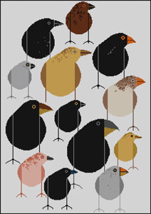 click here to view larger image of Darwin Finches (hand painted canvases)