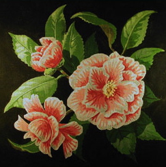 click here to view larger image of Peppermint Camellia (hand painted canvases)