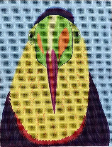 click here to view larger image of Flat Top Toucan - 18M (hand painted canvases)