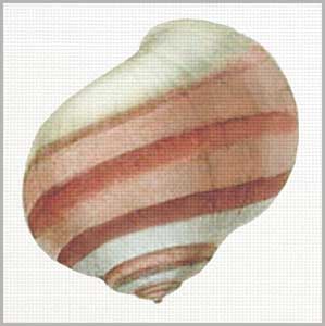 click here to view larger image of Striped Shell - Back (hand painted canvases)