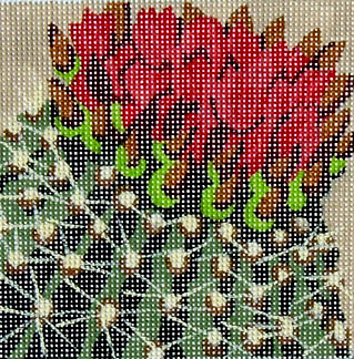 click here to view larger image of Cactus Flowers (hand painted canvases)