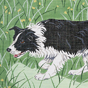 click here to view larger image of Border Collie (hand painted canvases)
