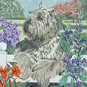 click here to view larger image of Bouvier des Flandres (hand painted canvases)