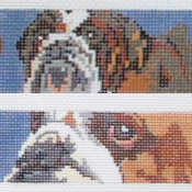 click here to view larger image of Bulldog Belt (hand painted canvases)