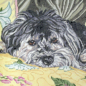 click here to view larger image of Wellington, the Havanese (hand painted canvases)