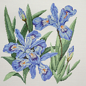 click here to view larger image of Dwarf Crested Iris (hand painted canvases)