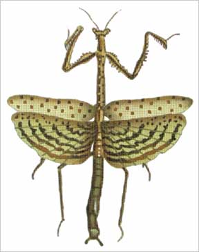 click here to view larger image of Spotted Preying Mantis (hand painted canvases)