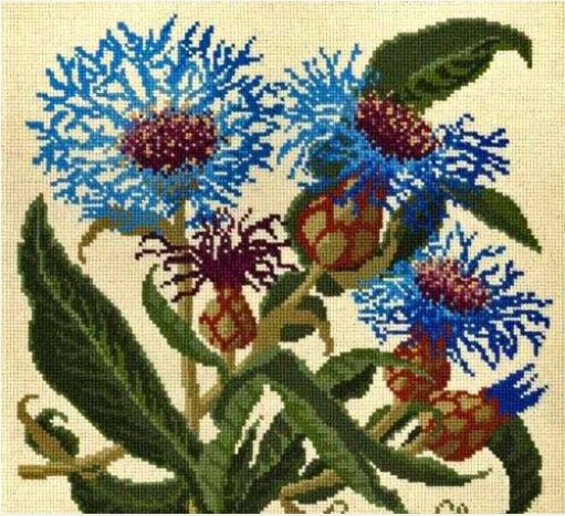 click here to view larger image of Cornflower (on Cream Background) (needlepoint kits)