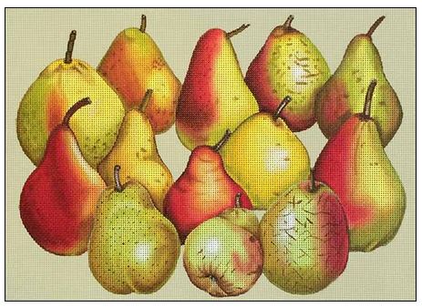 click here to view larger image of Pears (hand painted canvases)