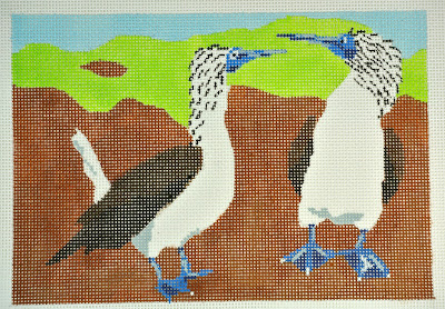 click here to view larger image of Blue Footed  Boobies (hand painted canvases)