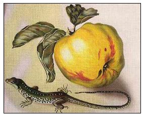 click here to view larger image of Apple and Lizard (hand painted canvases)