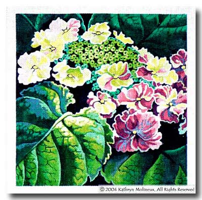click here to view larger image of Lacecap Hydrangea (hand painted canvases)
