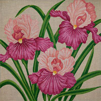 click here to view larger image of Carols Coral Irises (hand painted canvases)