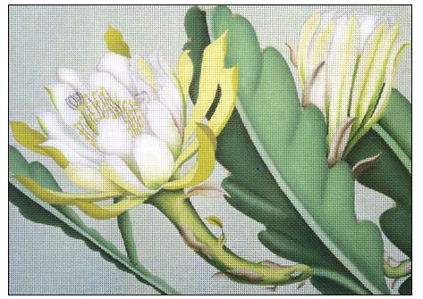click here to view larger image of Vintage Cactus (hand painted canvases)