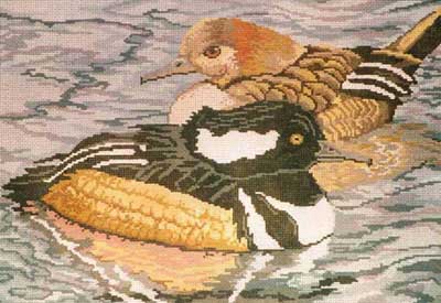 click here to view larger image of Hooded Mergansers (None Selected)