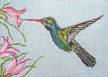 click here to view larger image of Broad Billed Hummingbird - 18ct (hand painted canvases)