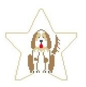 click here to view larger image of Springer Spaniel Star (hand painted canvases)