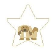 click here to view larger image of Pekinese Star (hand painted canvases)