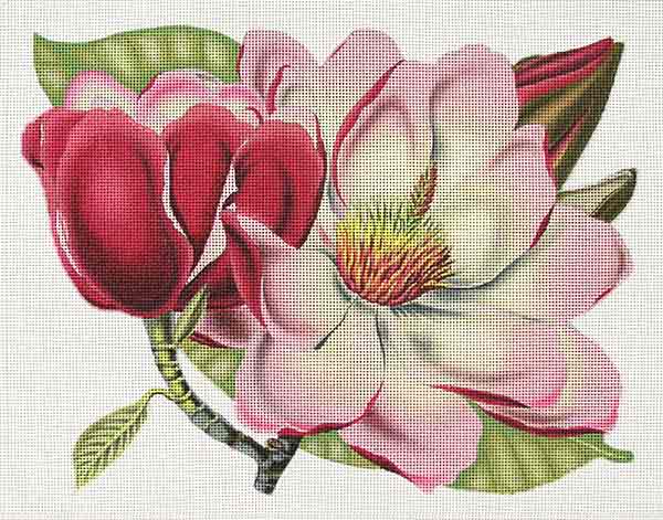 click here to view larger image of Pink Magnolia (hand painted canvases)