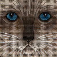 click here to view larger image of Siamese Cat Face - Large (hand painted canvases)